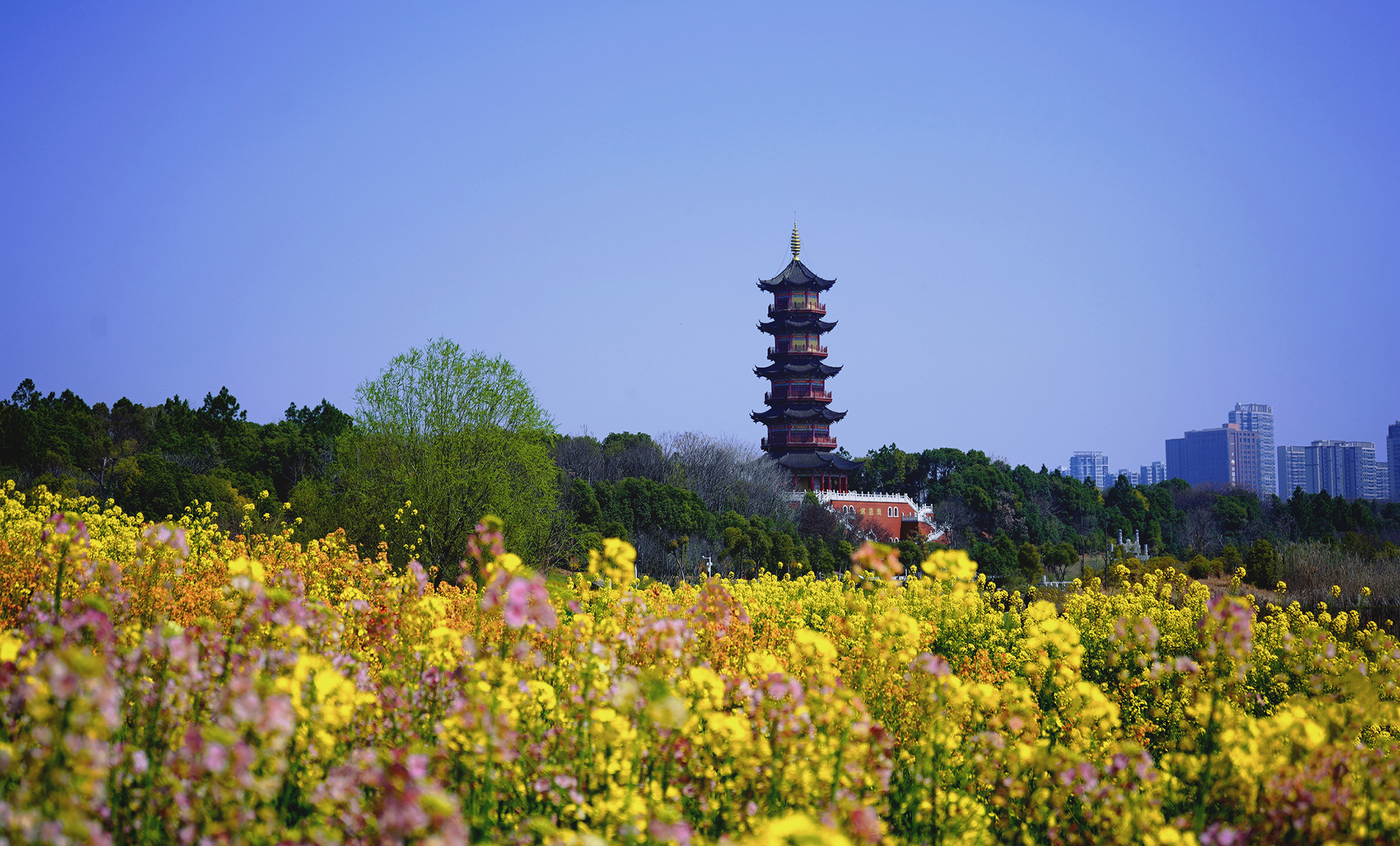 缤纷-何亚轩.jpg